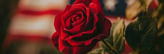 Roses and thorns